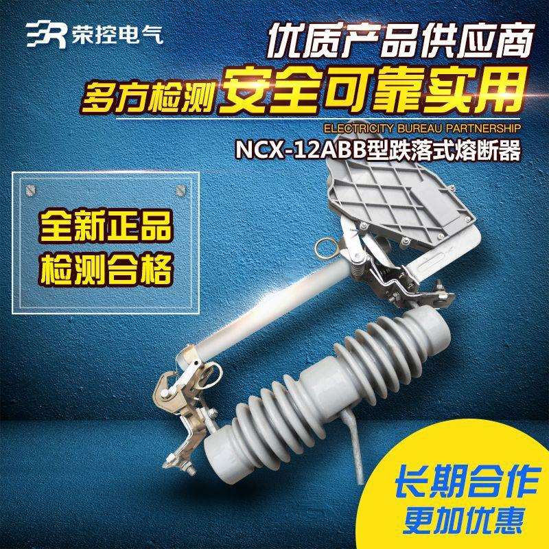 荣控NCX-12/100A200A户外高压跌落式ABB熔断器陶瓷令克开关保险管