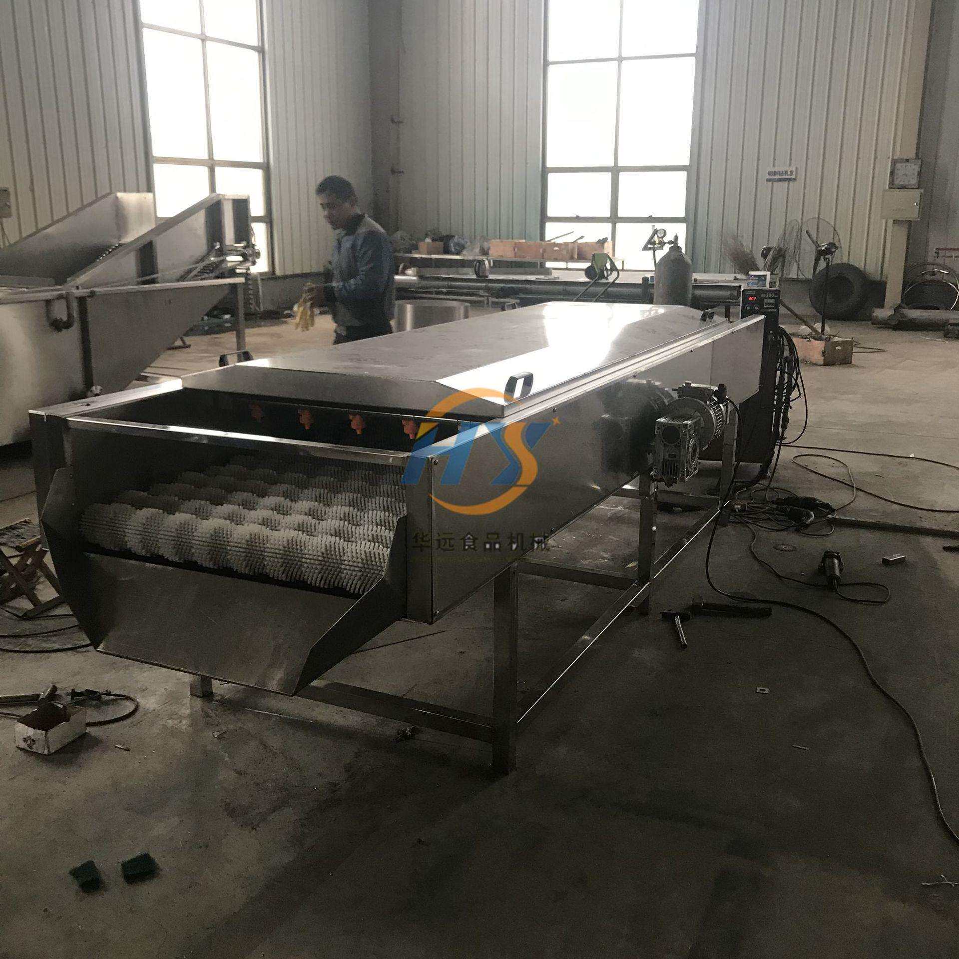 红妃木瓜毛辊清洗机 洋姜清洗去杂毛刷清洗去皮 皱皮木瓜清洗设备