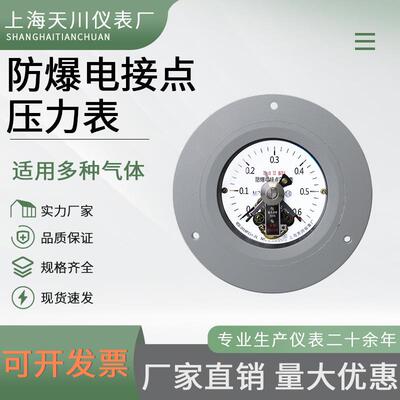 YTX-100B-ZT防爆电接点轴向带边压力表 厂家生产 天川仪表BT4 CT6