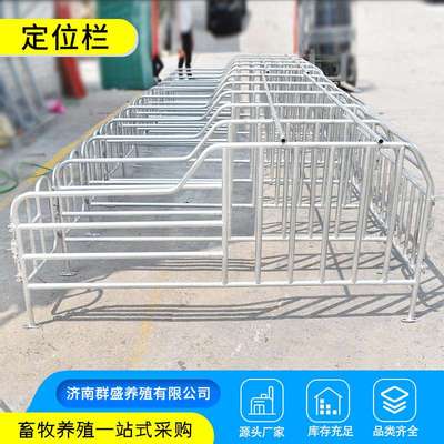 母猪定位栏 养殖猪用限位栏单体双体产床分娩床养猪设备限位定位