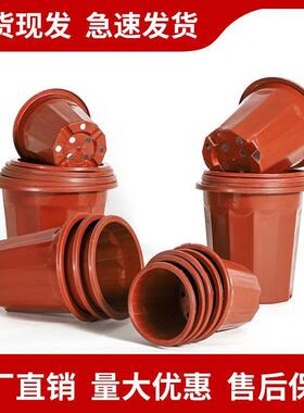 塑料花盆E型角盆基地种植红色月季花盆处理育苗盆