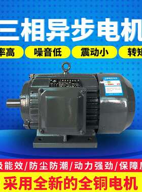 铜线电机4kwYE2-112M-2极二极足功率机械设备配套三相电动机异步