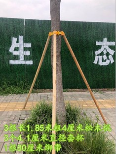树木支架园林绿化工程防风支x撑架杆固I定器塑料套杯扎绑带大树撑