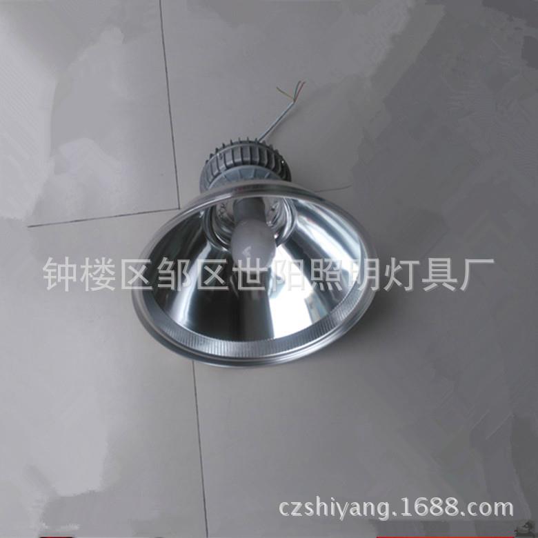 120W150W200W无极灯工矿灯低频高频无极灯配灯罩