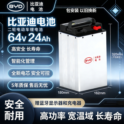 比亚迪BYD电动车锂电池48v64v76v磷酸铁锂刀片雅迪电摩两三轮