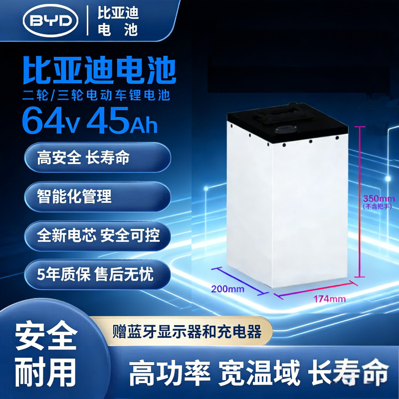 比亚迪BYD电动车锂电池48v64v76v磷酸铁锂刀片雅迪电摩两三轮