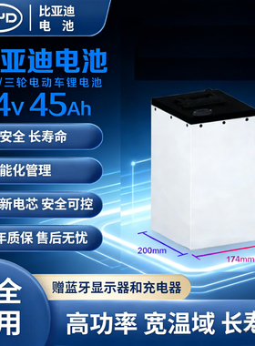 比亚迪BYD电动车锂电池48v64v76v磷酸铁锂刀片雅迪电摩两三轮