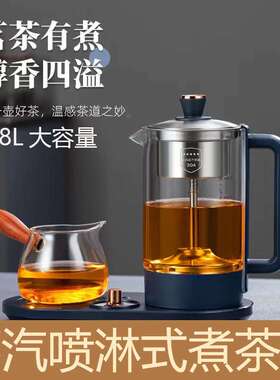 养生壶家用多功能玻璃茶壶办公室小型新款电水壶mini暖杯垫煮茶器