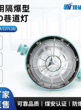 DGS24/127L(A)矿用隔爆型LED巷道灯隧道仓库加油站化工厂照明灯