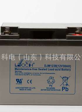广西理士38AH电池 DJM1238S12V38AH铅酸免维护太阳能储能光伏发电