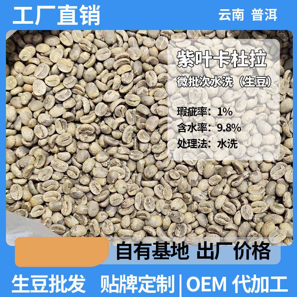 云南小粒咖啡生豆 水洗阿拉比卡咖啡豆紫叶卡杜拉高海拔