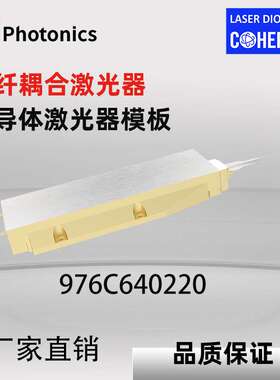 976nm 640W 泵浦源