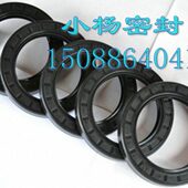 0进口减速机026丁晴耐油轴承密封圈封15 T骨架油封调速电机轴 C23