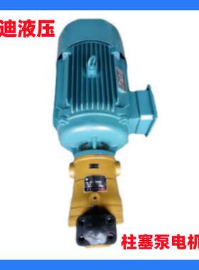 10 16 25 40 63 80 160 250SCY14-1B柱塞泵电机组 压力31.5MPa