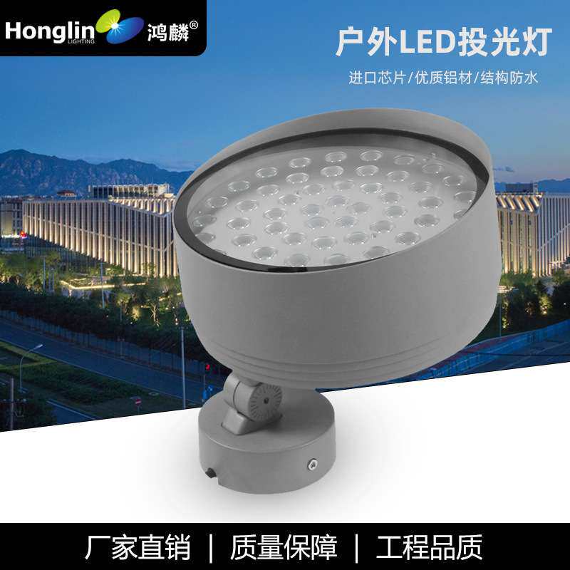 新款户外LED投光灯60W圆形照树灯单色彩色外控桥梁园林树木园柱子