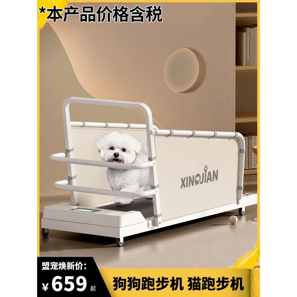 狗狗跑步机犬用猫咪跑步机比熊泰迪柯基宠物跑步机中小型犬走步机