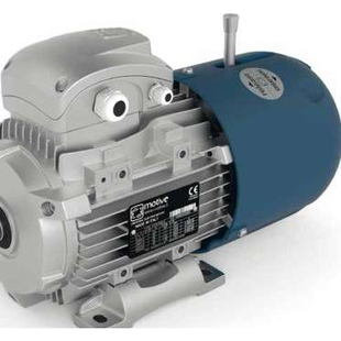 供应意大利Motive减速电机 63-71-80系列