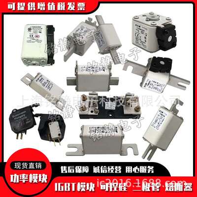 170M3965 170M3966 170M3967巴斯曼170M3968熔断器保险丝170M3969