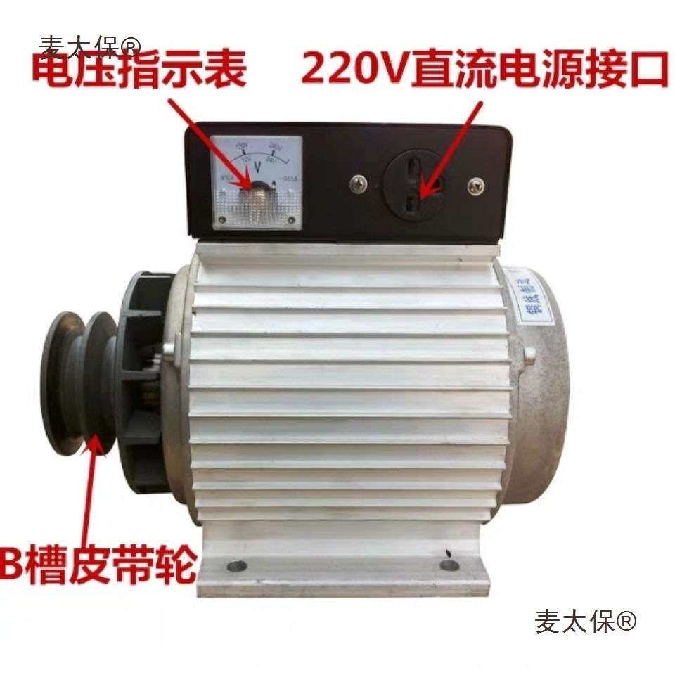 厂家直销小型永磁电焊发电两用一体机微型直流发电机一机三麦太保