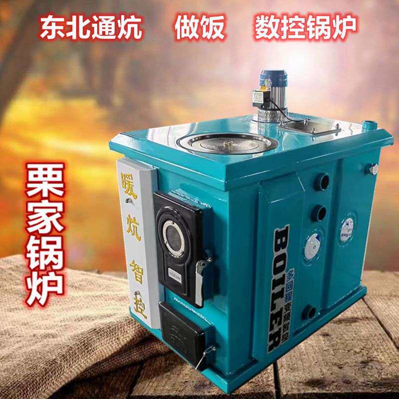 东北专用插炕数控锅炉燃煤家用水暖炉农村通炕环保反烧做饭地暖炉