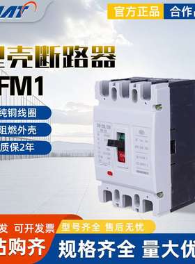 FATO华通CFM1-125L/3300塑壳断路器3P4P 63A 100A 160A 225A 400A