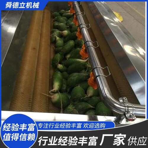 红薯马铃薯清洗去皮机 喷淋式毛辊清洗机 辣根荠菜芋头清洗设备
