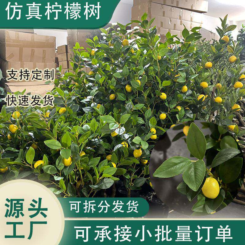 柠檬树盆栽客厅室内植物四季假树带果大号手工仿真树仿真绿植