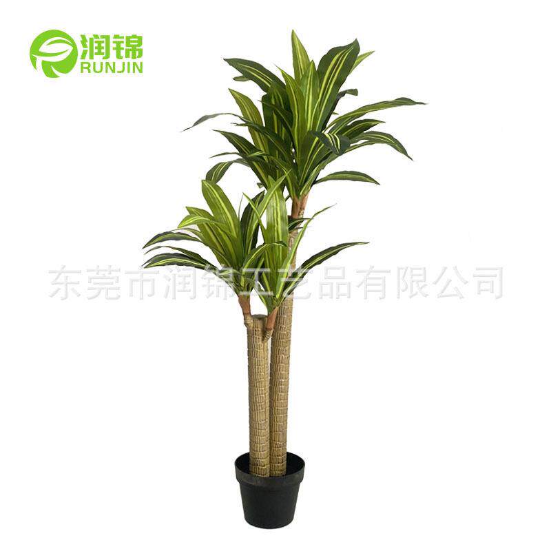 仿真金边巴西铁盆栽香龙血树室内大型盆栽四季常青大叶植物巴西木