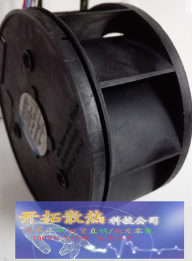 RER101-36/12N/2HHP 12V 1.7A  21W