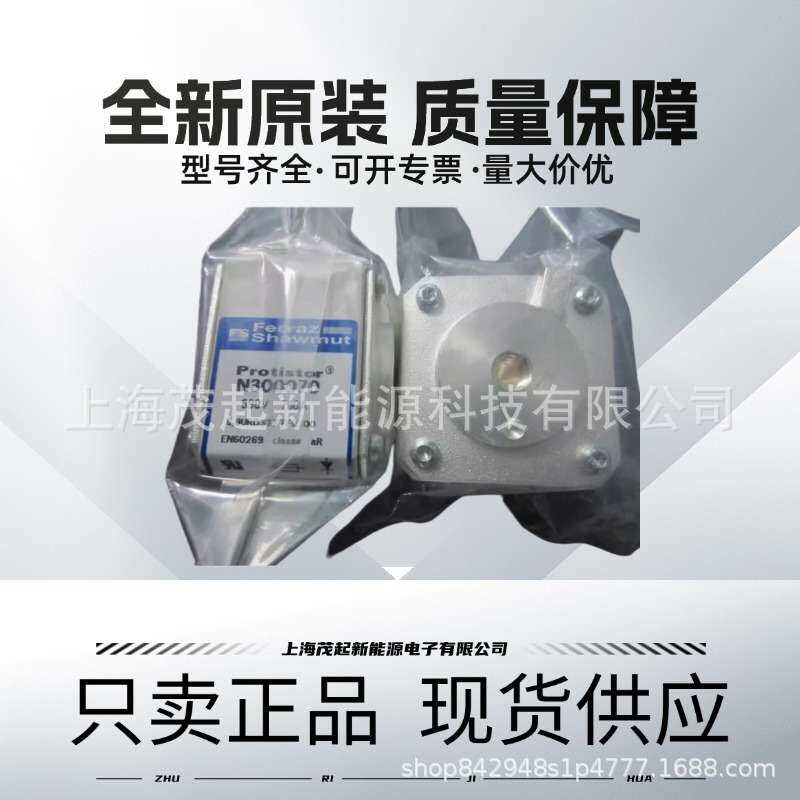 M300069 P300071 Q300072 Y300079 C300083 PROTISTOR熔断器
