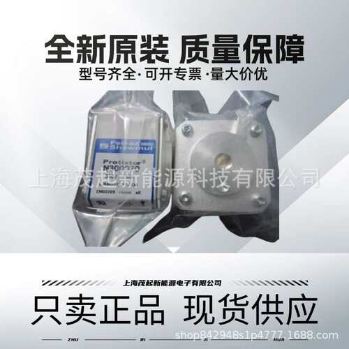 M300069 P300071 Q300072 Y300079 C300083 PROTISTOR熔断器