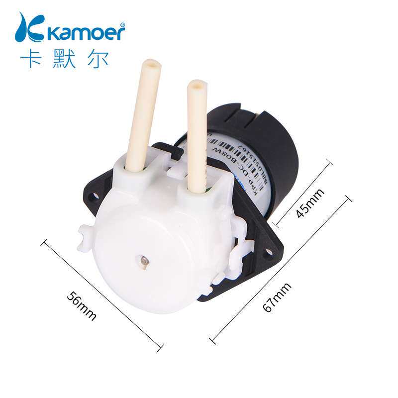 微型蠕动泵12v直流电机小抽水泵家用电动自吸泵高扬程24v自动水泵