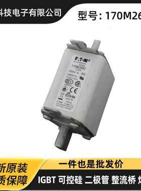 170M6968 170M6969 170M6970 高压熔断器 保险丝原厂供应 巴斯曼