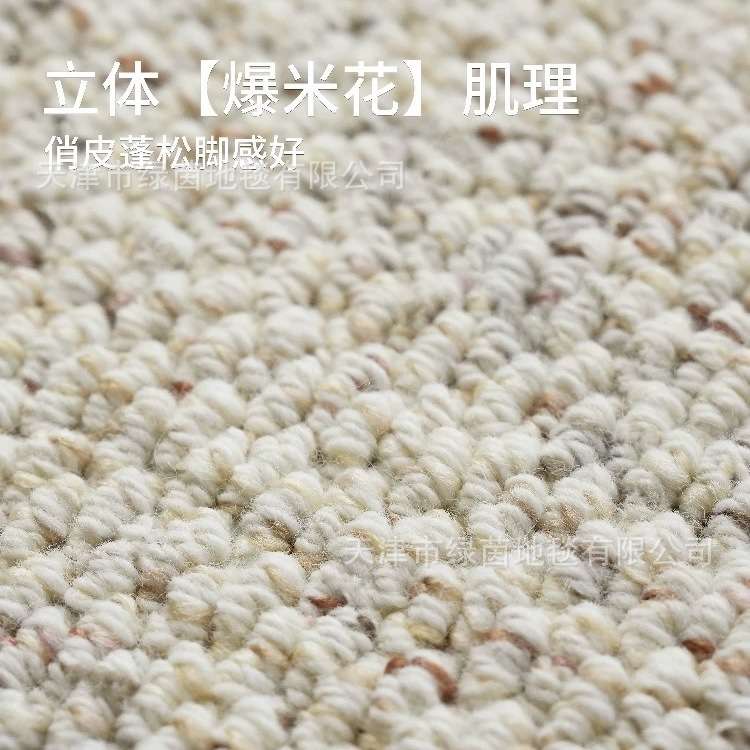 新西兰羊毛法式奶油风客厅地毯轻奢高级卧室现代简约地毯家用地垫