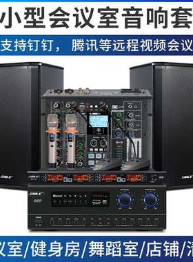 108+BX108+SH10会议音响调音台话筒套装视频会议功放壁挂音箱