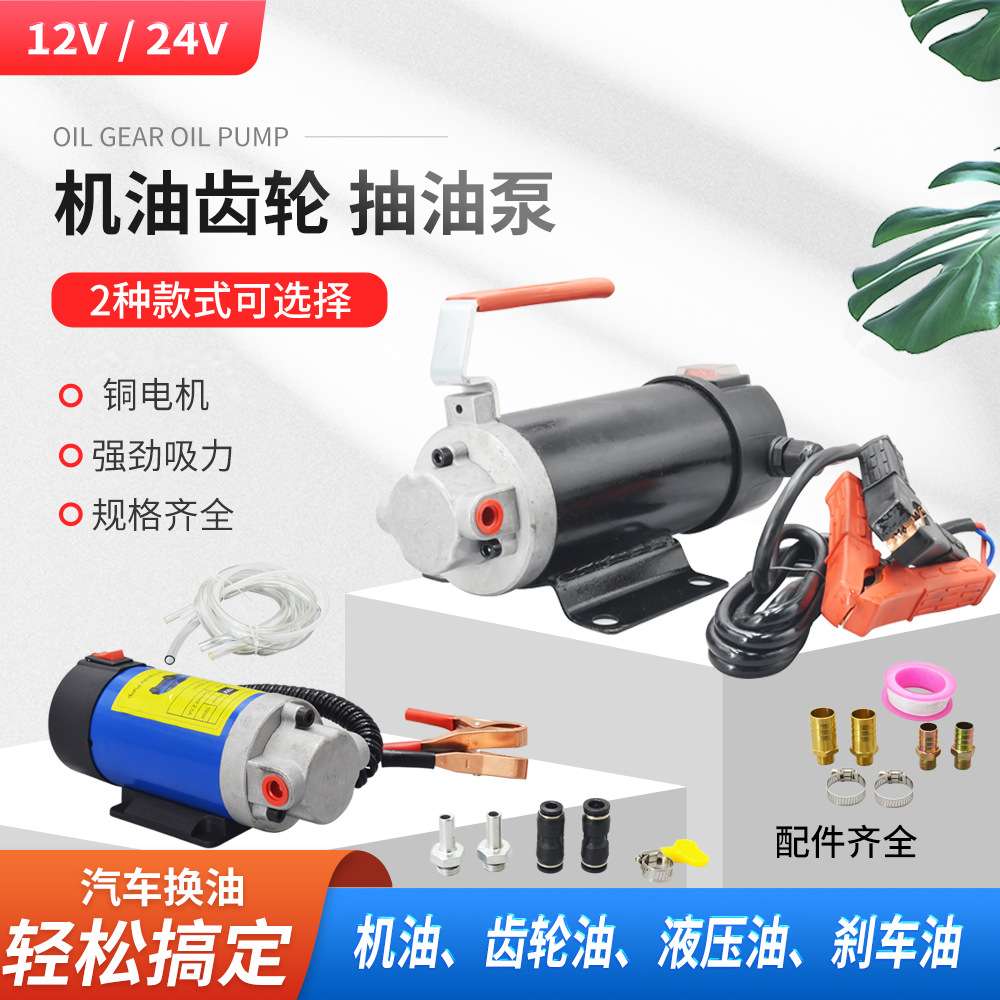 机油齿轮 抽油泵 12v正反转抽油泵 电动抽油泵 手提式柴油抽油泵