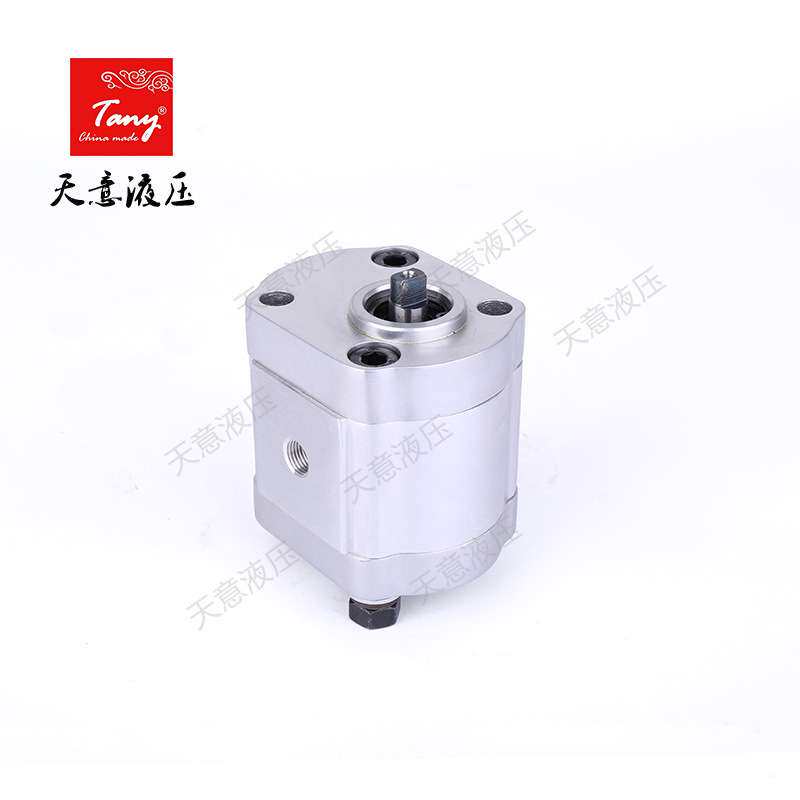 供应高压齿轮油泵CBN-F2010机床润滑小型液压系统专用齿轮泵