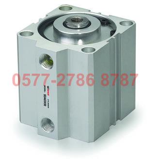 SDA63X5 10 15 20 25 30 35 40 45 50 60 70 80 90 100 WSNS 气缸