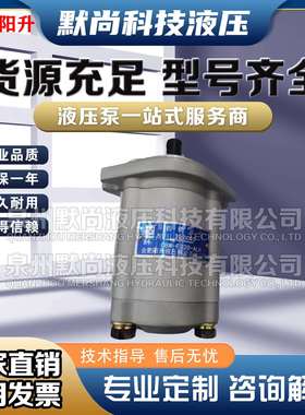 合肥阳升液压油泵 CBW-F314/F316/F320-ALP/AFP/CLP/CFPL齿轮油泵