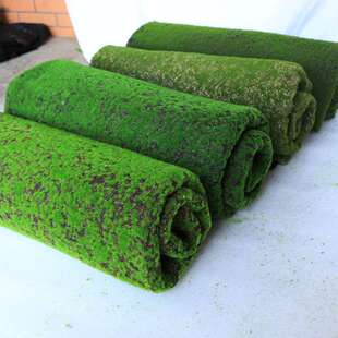 仿真青苔草皮绿色人造草坪植物墙橱窗微景观盆景装饰苔藓植绒草皮