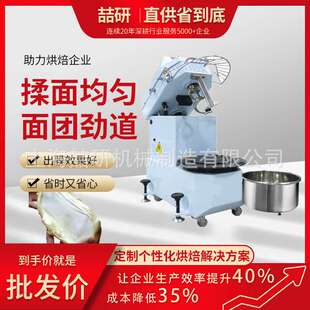 跨境离缸和面机 厂家 不锈钢抬头式和面机 H20H30H40升搅面机