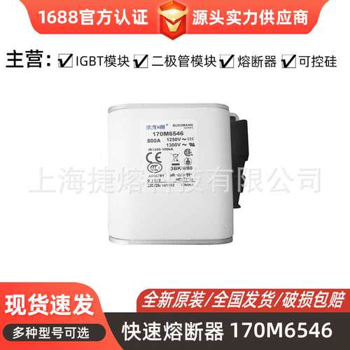 170M6546  170M6548 快速熔断器  保险丝 电子元器件 量大价优