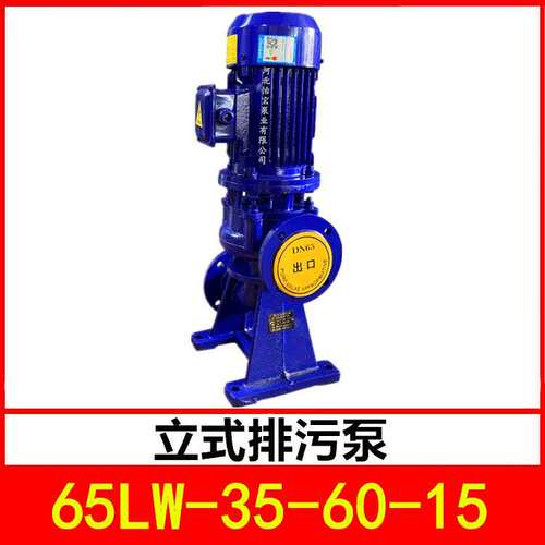 立式排污泵65LW-35-60-15管道污水泵