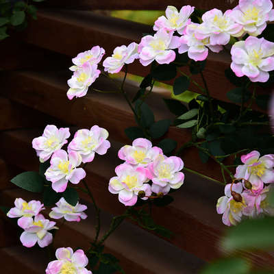 仿真蔷薇花藤假花装饰藤条缠绕空调管遮挡塑料花藤蔓植物室内壁挂