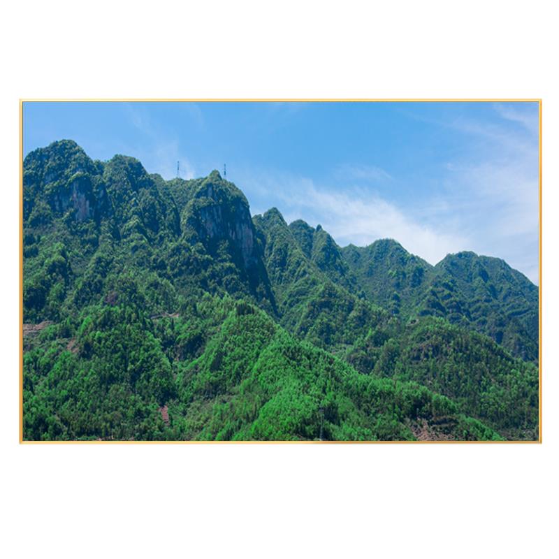招财靠山图高山森林树木有山无水山水画客厅办公室挂画背有靠山