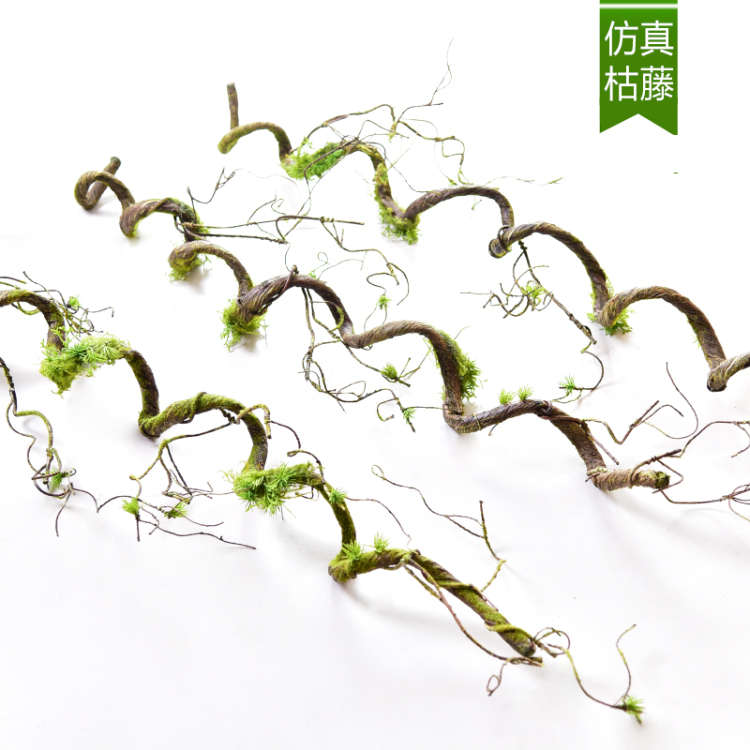 仿真苔藓树藤枯藤森系墙壁造景装饰藤蔓假藤条青苔藤树枝缠绕绿