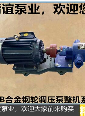 合金183.3轮/压渣整机油泵Y3电动3钢3.3B齿轮泵.Z调/油泵/高855温