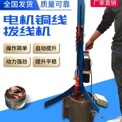 新型电机拔线机电机线圈拔线机电机维修工具漆包线取出器线圈拆除,五金/工具,电机配件,淘宝优惠券,粉丝福利购,淘宝优惠卷