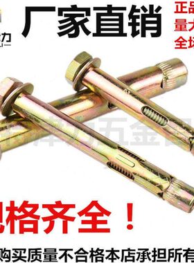 12MMM8内膨胀螺丝六角国标M内置专用地板外六角1016套管膨胀螺栓