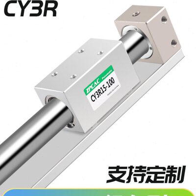 *  C25/R/Y3/1磁15藕无杆气缸/R6/Y/3200C250式30 20010/4040 20